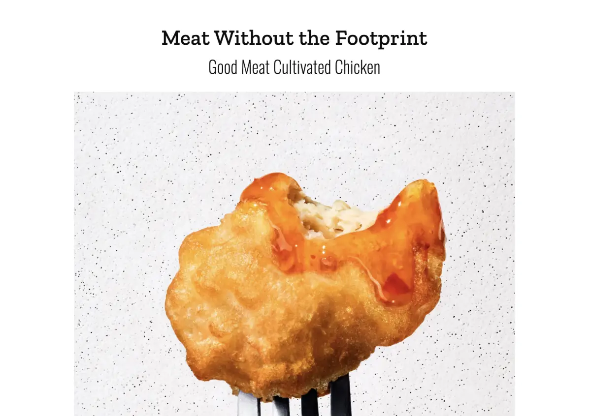 Ignorance is No Longer an Option: The Large-Scale Meat Problem in America 