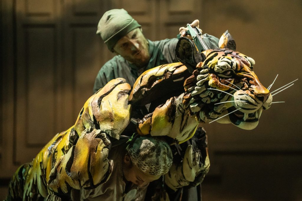 "Life of Pi": Survival, Spirituality, and the Power of Puppetry 4 A performer manipulating a large, colorful puppet of a tiger during a theatrical production.