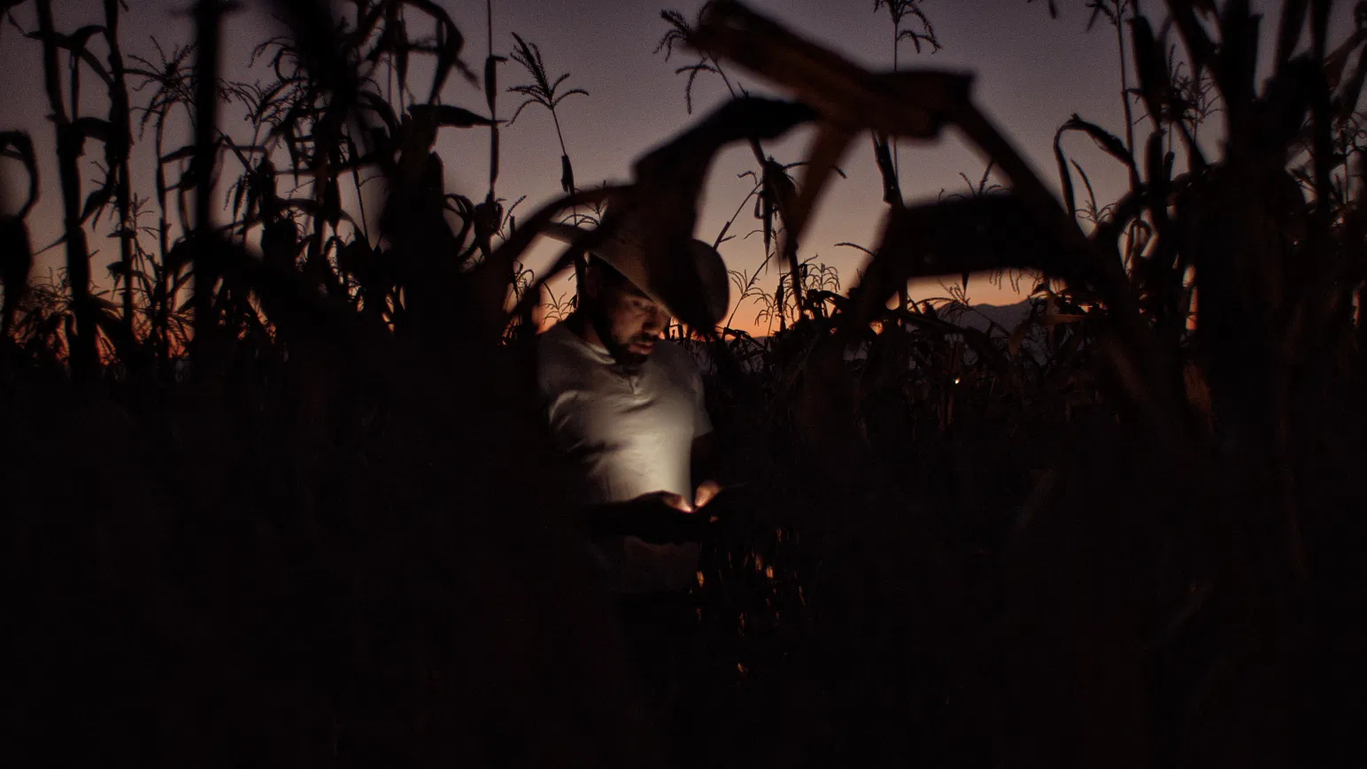 Sundance Review: Jaripeo—Poetry, Queerness, and Machismo Inside Mexico’s Rodeo Culture